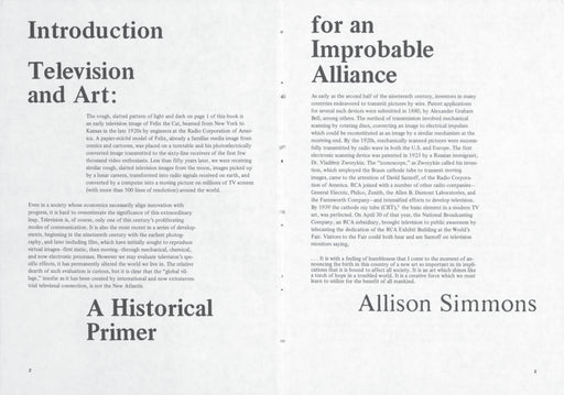 The New Television: Video After Television image