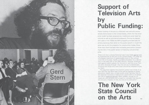 The New Television: Video After Television image