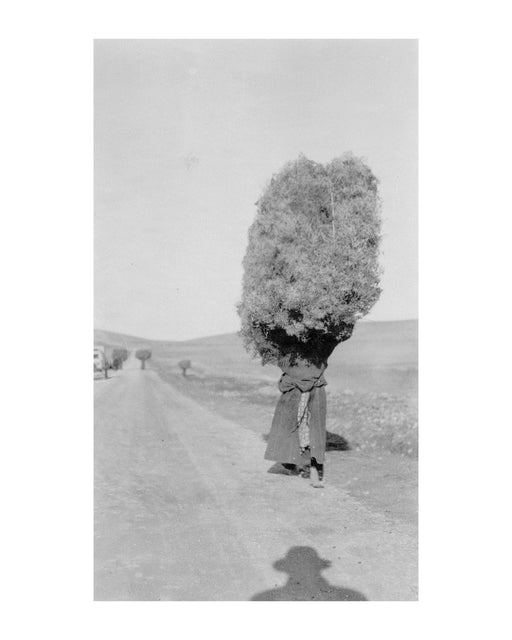 The Collected Writings (1991–2024) of a Mortal to Death: Jalal Toufic. Volume One image